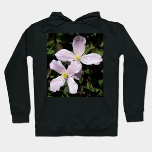 Clematis Hoodie